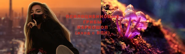 соль ск Богородицк