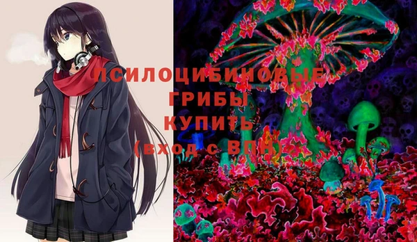 соль ск Богородицк