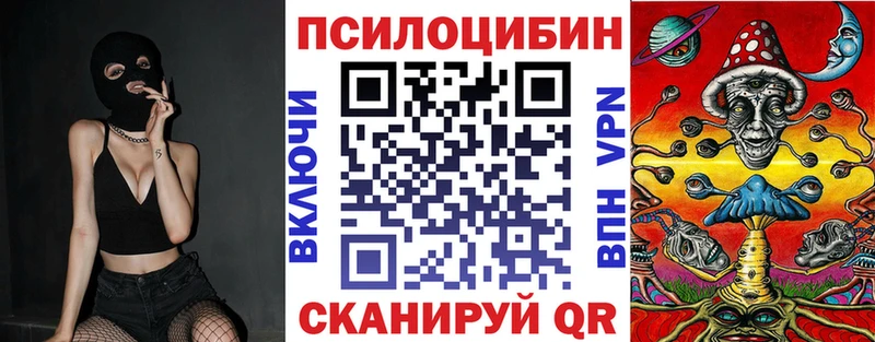 хочу наркоту  Карталы  Галлюциногенные грибы Cubensis 